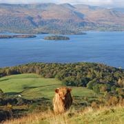 Loch Lomond, Scotland