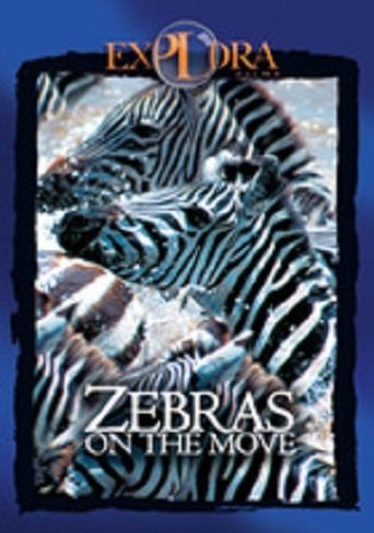 Zebras on the Move (2009)