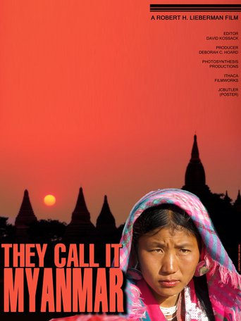 They Call It Myanmar: Lifting the Curtain (2012)