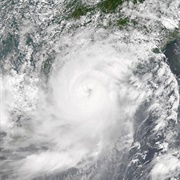 Typhoon Hato