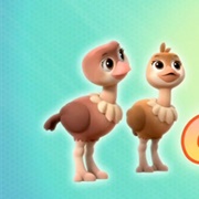 Baby Ostriches