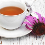 Echinacea Tea