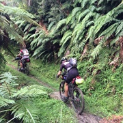 Hunua Bike Trails