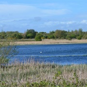Marton Mere Local Nature Reserve