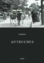 Autruches (1896)