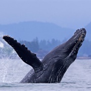 Goose Bay, Goose Bay, Labrador, Canada