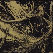 The Third Eye Foundation - The Dark