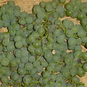 Niagara Grape
