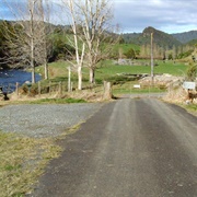 Dalys Clearing Waihi