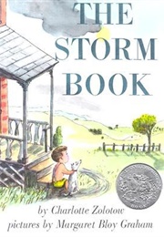 The Storm Book (Charlotte Zolotow and Margaret Bloy Graham)