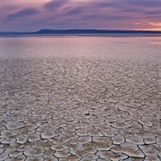 Alvord Desert
