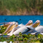 Sulina (Danube Delta), Romania
