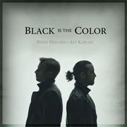Black Is the Colour of My True Loves Hair-Peter Hollens & Avi Kaplan