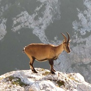 Pohorje Mountains, Slovenia