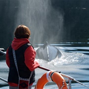 Sail in Hadia Gwaii (BC)