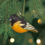 Baltimore Oriole Ornament