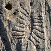 Al Jassasiya Carvings