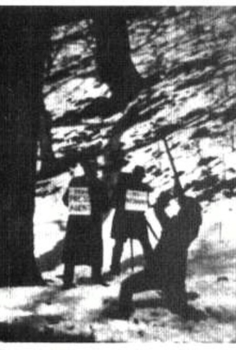 Terrible Teddy, the Grizzly King (1901)