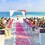 Attend a Beach Wedding in Miami