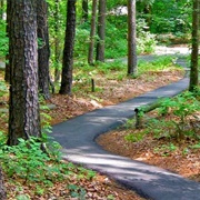 South Arkansas Arboretum