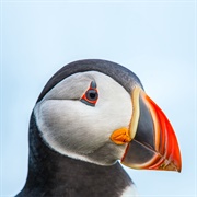 Just Add Water - Cavetown