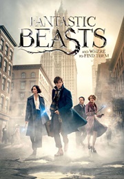 Fantastic Beasts and Where to Find Them (2016)