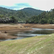 Upper Huia Resevoir Walk, Waitakeres