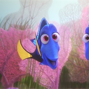 Jenny - Finding Dori