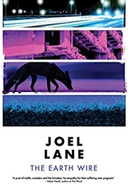 The Earth Wire (Joel Lane)