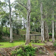Keahua Arboretum