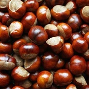 Conkers