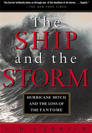 Ship and the Storm (Jim Carrier)