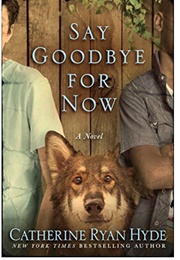 Say Goodbye for Now (Catherine Ryan Hyde)