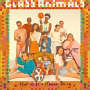 Glass Animals - Life Itself