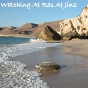 Ras Al -Jinz Turtle Reserve
