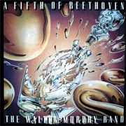 The Walter Murphy Band - A Fifth of Beethoven