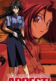 You're Under Arrest!: The Motion Picture (1999)