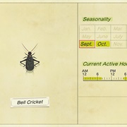 Bell Cricket