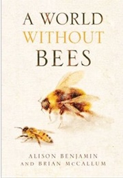 A World Without Bee's (Alison Benjamin)