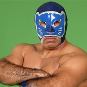 Blue Panther