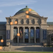 Go to the Museum of Science and Industry