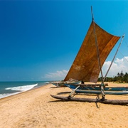 Negombo, Sri Lanka
