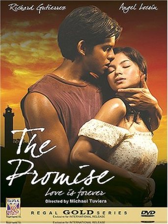 The Promise (2007)
