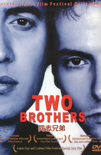 Two Brothers (2001)