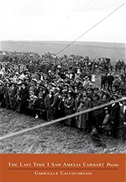 The Last Time I Saw Amelia Earhart (Gabrielle Calvocoressi)