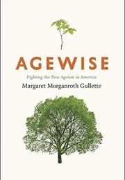 Agewise: Fighting the New Ageism in America (Margaret Morganroth Gullette)