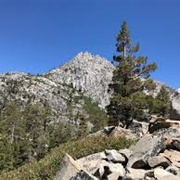 Leave the House Alone