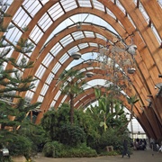 Sheffield Winter Garden
