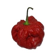 Trinidad 7 Pot Jonah Pepper