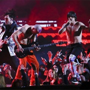 Go to a Red Hot Chili Peppers Concert